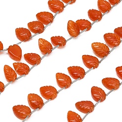 Carnelian Natural Carnelian Carved Beads Strands, Leaf, Top Drilled, with Tassel, 11~13x8~10x4~5.5mm, Hole: 0.3mm, about 15~19pcs/strand, 12.60''(32cm)