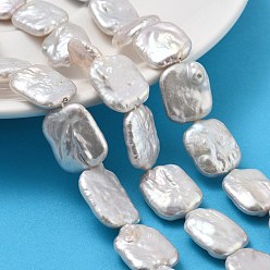 Белый Дым Натуральный жемчуг в стиле барокко кеши, культивированный пресноводный жемчуг, прямоугольные, класс 6а+, серый, 17~18x12~13x4~6 мм, отверстие : 0.6 мм, около 22 шт / нитка, 14.76''~15.55'' (37.5~39.5 см)