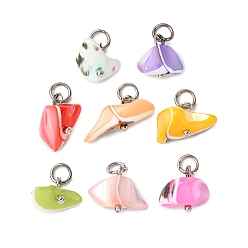 Нержавеющая Сталь Цвет Подвески из окрашенных натуральных ракушек трохид/трохус, подвески-самоцветы с 304 соединительным кольцом из нержавеющей стали, разноцветные, цвет нержавеющей стали, 8~12x9~19x5~10 мм, отверстие : 3.3 мм