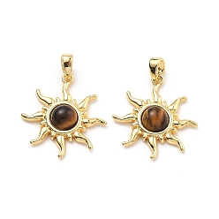 Тигровый глаз Природных тигровый глаз подвески, латунные солнечные подвески, реальный 18 k позолоченный, 22x19x4 мм, отверстие : 3x4 мм