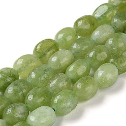 Olive Drab Natural Malaysia Jade Beads Strands, Faceted, Oval, Dyed and Heated, Olive Drab, 8.5~11.5x7~8x6.5~8mm, Hole: 1.5mm, about 37~38pcs/strand, 14.76''~15.55''(37.5~39.5cm)