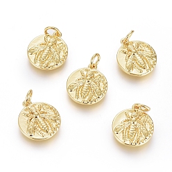 Настоящее золото 18K Латунь прелести, долговечный, с прыжковых колец, плоский круглый с насекомыми, реальный 18 k позолоченный, 15x13x3 мм, отверстие : 3.5 мм