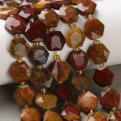 Деревянное Окаменение Природные окаменелое дерево бисер пряди, граненый шестиугольный разрез, шестиугольник, с бисером, 12x13x5 мм, отверстие : 1 мм, около 27 шт / нитка, 14.88~15.43 дюйм (37.8~39.2 см)