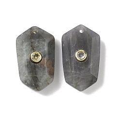 Лабрадорита Ограненные подвески из натурального лабрадорита, подвески в форме кристального кластера, с латунными микро проложить кубических выводы циркония, золотые, 24.5x14.5x7.5~8.5 мм, отверстие : 1.2 мм