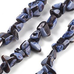 Синий Окрашенные нити натуральных бусин-ракушек трохуса, самородки, синие, 3~8x6~13x3~8 мм, отверстие : 1 мм, около 95 шт / нитка, 14.09'' (35.8 см)