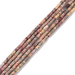 Léopard Leopardskin naturelle rangées de perles rondes, colonne, 3.8~4.3x2.4mm, Trou: 0.9mm, Environ 87 pcs/chapelet, 14.88'' (37.8 cm)