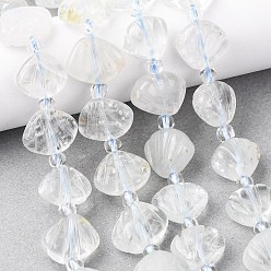 Green Moonstone Нити резных бусин из натурального зеленого лунного камня, формы раковины, с бисером, 12~13x13~14x4~7 мм, отверстие : 0.8~1 мм, около 26 шт / нитка, 15.35'' (39 см)