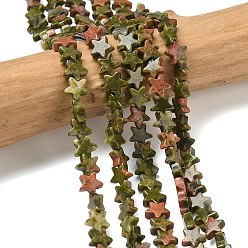 Унакит Природные Unakite бисер нитей, звезда, 6x6x2 мм, отверстие : 0.7 мм, около 72 шт / нитка, 14.96'' (38 см)