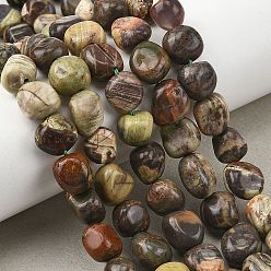 Пикассо Камень Натуральный камень пикассо / нити из бисера пикассо, самородки, упавший камень, 9~12x8~10x3~9 мм, отверстие : 1 мм, около 36~41 шт / нитка, 15.08''~15.87'' (38.3~40.3 см)