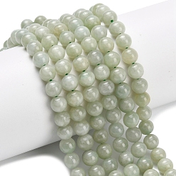 Бирманский Нефрит Натуральный майяр нефрит / бурманский нефрит бисерные пряди, круглые, 6~7 мм, отверстие : 0.8 мм, около 62 шт / нитка, 15.35 дюйм (39 см)