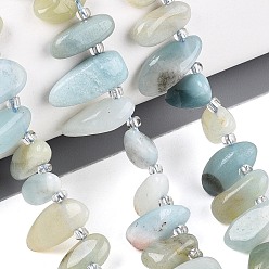 Flower Amazonite Натуральный цветок амазонитовые бусины пряди, самородки, Топ пробуренной, упавший камень, с бисером, 9.5~25x4~11.5x3.5~8 мм, отверстие : 0.8~1 мм, около 42~61 шт / нитка, 14.96~16.14'' (38~41 см)