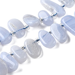 Синий Кружевый Агат Натуральный голубой кружевной агат бисер нитей, самородки, 11~18x4~8x5~7 мм, около 53 шт / нитка, 15.55'' (39.5 см)