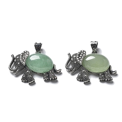 Зеленый Авантюрин Натуральный зеленый авантюрин, с латунной фурнитурой , без свинца и без кадмия, слон, 22.5x33.5x7.5 мм, отверстие : 5.5x4.5 мм