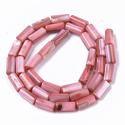 Light Coral Natural Freshwater Shell Beads, Dyed, Column, Light Coral, 10x4.5mm, Hole: 0.9mm, about 36pcs/Strand, 14.17 inch(36 cm)