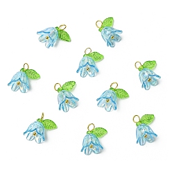 Темно-Голубой Прозрачные акриловые подвески, с латунной фурнитурой , цветок, глубокое синее небо, 15 мм, отверстие : 3 мм