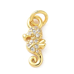 Sea Horse Латунные микро проложить кубического циркония прелести, золотые, с целью перехода в кольце, морской конек, 14.5x6.5x2.5 мм, отверстие : 3.5 мм