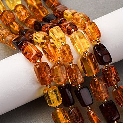 Янтарный Нити бусин из натурального янтаря градиентного цвета, прямоугольные, с бисером, 10~12x6~8x6.5~8 мм, отверстие : 0.5 мм, около 31 шт / нитка, 14.96'' (38 см)