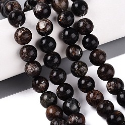 Biotite Natural Biotite Beads Strands, Smooth Round, 10mm, Hole: 0.8~1mm, about 38pcs/strand, 14.76~14.96 inch(37.5~38cm)
