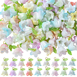 (52) Непрозрачная лаванда 11 комплекты акриловых бусин и подвесок, с золотистой петлей, колокольчик, разноцветные, 14.5~15x15x15 мм, отверстие : 2.5~3 мм