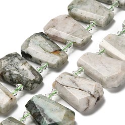 Древесный агат Натурального дерева агат бисер нитей, со стеклянными бусинами, граненые, слеза, Топ пробуренной, 26~30.5x16~22.5x6.5~8.5 мм, отверстие : 1.4 мм, около 18 шт / нитка, 15.28~15.94'' (38.8~40.5 см)