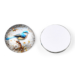 Разноцветный Кабошоны из стекла, полукруглый, цветок и птица узор, красочный, 35x9 мм