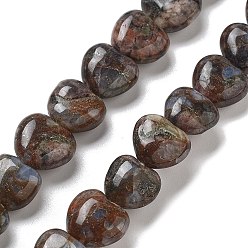 Glaucophane Бусы из натурального глаукофана, сердце, 10x10x5.5 мм, отверстие : 1.2 мм, около 40 шт / нитка, 14.37 дюйм (36.5 см)