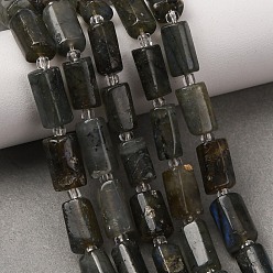 Лабрадорита Природные лабрадорита бисер нитей, колонка, с бисером, 10~14x6~9.5 мм, отверстие : 1 мм, около 27~31 шт / нитка, 15.16~15.75'' (38.5~40 см)