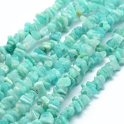 Amazonite Natural Amazonite Beads Strands, Chip, 5~8mm, Hole: 1mm, about 80~81cm
