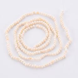 Seashell Color Natural Cultured Freshwater Pearl Beads Strands, Seashell Color, 1.5~2x1.5~3x1.5~2mm, Hole: 0.5mm, about 142pcs/strand, 13.78 inch(35cm)