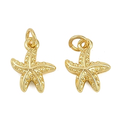 Настоящее золото 18K Латунные подвески, прелести морская звезда, с целью перехода в кольце, реальный 18 k позолоченный, 11.5x9x3 мм, отверстие : 2.5 мм