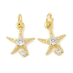 Золотой Латунные микро проложить кубического циркония подвески, прелести морская звезда, стойки покрытие, долговечный, без кадмия и без свинца, с целью перехода в кольце, золотые, 13x10.5x3 мм, отверстие : 3.5 мм