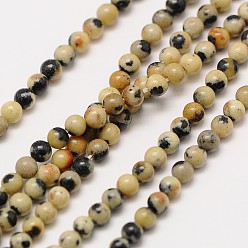 Dalmatian Jasper Natural Gemstone Dalmatian Jasper Round Beads Strands, Grade A, 3mm, Hole: 0.8mm, about 126pcs/strand, 16 inch