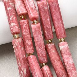 Тулит Натуральные нитки из бисера тулита, колонка, с бисером, 14~30x6.5~7.5x6.5~7.5 мм, отверстие : 1 мм, около 13~15 шт / нитка, 15.87'' (40.3 см) ~ 16.06'' (40.8 см)