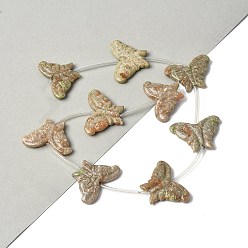 Унакит Природные Unakite бисер нитей, бабочка, с пластиковыми трубчатыми бусинами, 23~24x32~34x5~6 мм, отверстие : 0.7 мм, около 9 шт / нитка, 14.76'' (37.5 см)