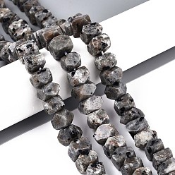 Syenite Нити из натуральных сиенитовых бусин, самородки, граненые, 7~8x10~14x10~14 мм, отверстие : 1 мм, около 50~53 шт / нитка, 14.96~15.55'' (38~39.5 см)
