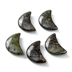 Кровь драконов Натуральный дракон, нет отверстий / незавершенного, для проволоки завернутые кулон решений, луна, 34~35x22x7~10 мм