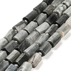 Орлиный Глаз Камень Натуральный орлиный глаз бусы, с бисером, граненые колонки, 9~11x6~7.5x6~7.5 мм, отверстие : 1.2 мм, около 30 шт / нитка, 15.16~15.55 дюйм (38.5~39.5 см)