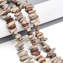 Аква Терра Яшма Натуральные бусины из аква терра яшмы, самородки, 2.5~7x8~19.5x5~7 мм, отверстие : 0.8 мм, около 71~77 шт / нитка, 15.35~15.75'' (39~40 см)