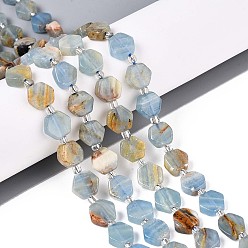 Кальцит Нити из натурального голубого кальцита, шестиугольник, с бисером, 8~10x8~10x4~5 мм, отверстие : 0.9~1 мм, около 18~19 шт / нитка, 7.68~8.07'' (19.5~20.5 см)