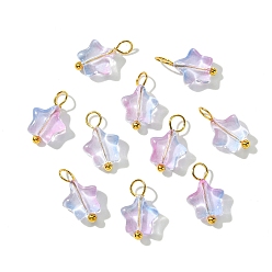 Разноцветный Стекло подвеска, с латунной фурнитурой , звезда, золотые, красочный, 14 мм, отверстие : 2.5 мм, 10 шт / комплект