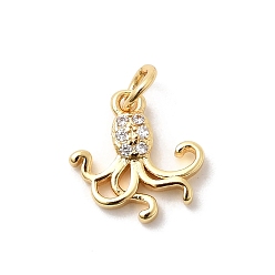 Настоящее золото 18K Латунные микро проложить кубического циркония подвески, прелести осьминога, стойки покрытие, долговечный, без свинца и без кадмия, с целью перехода в кольце, реальный 18 k позолоченный, 11x11x2 мм, отверстие : 2.5 мм