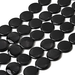 Черный Естественных пресноводных оболочки бисер нитей, окрашеные, плоско-круглые, чёрные, 14.5~15.5x2.5~3.5 мм, отверстие : 0.5 мм, около 26 шт / нитка, 15.16'' (38.5 см)