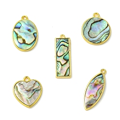 Золотой 5шт 5 стили подвески из натуральной ракушки пауа, с латунной фурнитурой , разнообразные, золотые, 19~27.5x9~17.5x2.5~3 мм, отверстие : 1.2~2 мм, 1 шт / стиль