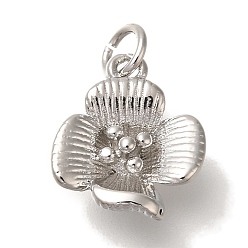 Нержавеющая Сталь Цвет Стойки обшивки латунные подвески, без кадмия и без свинца, долговечный, , с целью перехода в кольце, цвет нержавеющей стали, 14x12x5 мм, отверстие : 3 мм