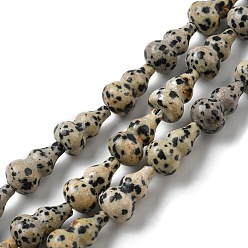 Dalmatian Jasper Natural Dalmatian Jasper Beads Strands, Gourd, 17.5~18.5x9.5~10mm, Hole: 1.2mm, about 23~24pcs/strand, 16.14~16.34 inch(41~41.5cm)