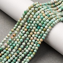 Peruvian Turquoise(Jasper) Бусы натуральная перуанская бирюза (яшма), граненые, круглые, 3 мм, отверстие : 0.7 мм, около 124 шт / нитка, 15.16'' (38.5 см)