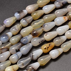 Dendritic Agate Teardrop Natural Dendritic Agate Bead Strands, 16x10mm, Hole: 1.2mm, about 24pcs/strand, 14.9 inch
