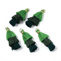 Разноцветный Кулон с кисточкой из поликоттона (полиэстер), с железной фурнитурой, золотые, красочный, 39~40x19~26x6~7 мм, отверстие : 4 мм