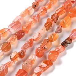 Red Agate Природный агат бисер нитей, самородки, упавший камень, 4.5~11.5x3~7x3.5~6 мм, отверстие : 1~1.2 мм, около 48~68 шт / нитка, 15.35~15.94'' (39~40.5 см)