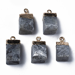 Лабрадорита Природные подвески лабрадорита, с фурнитурой позолоченной латунной, стойки покрытие, кубические, 18~21x9~12x9~13 мм, отверстие : 1.6 мм